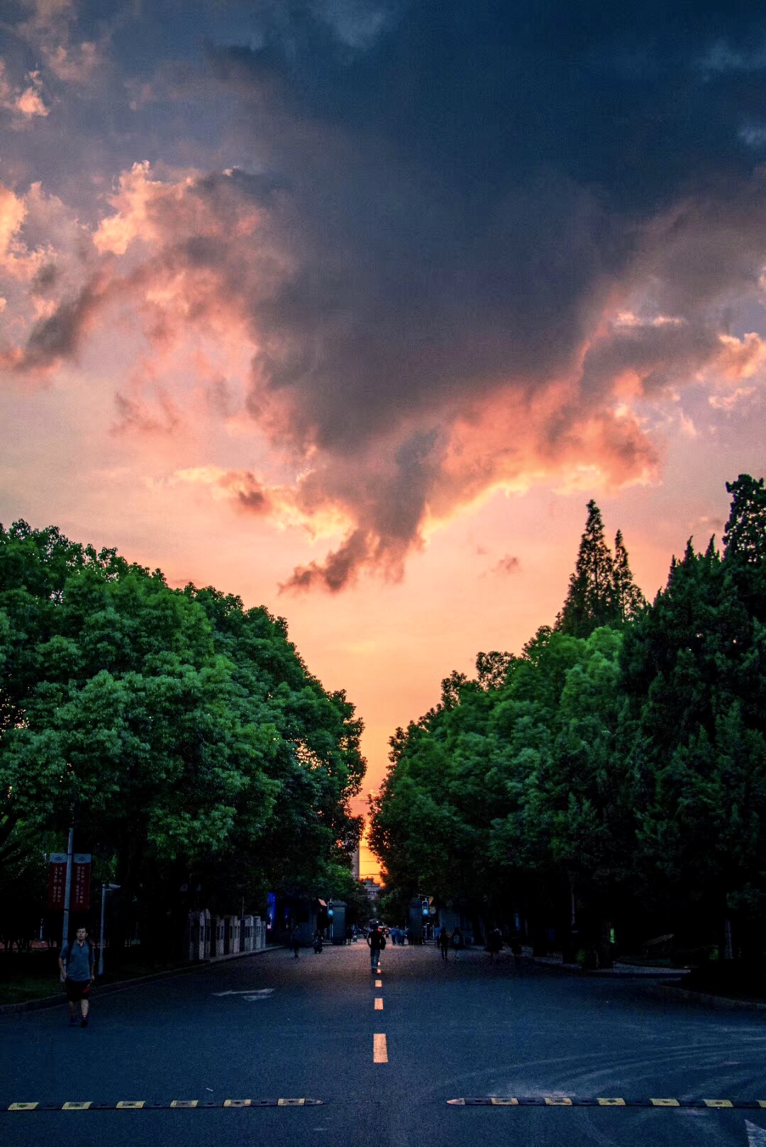 照片集一起来解锁中乒院学子眼中的校园美景吧第二期